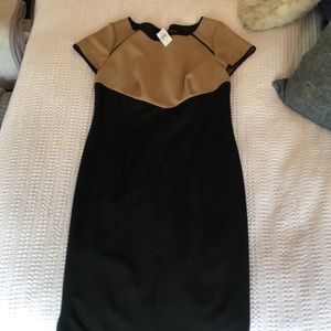 Ann Taylor Dress